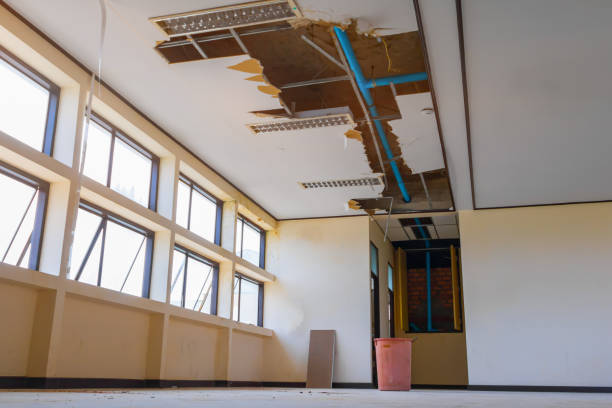 Best Local water damage restoration  in Paramount Long Meadow, MD