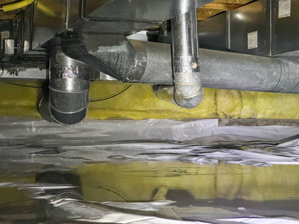 Best 24-hour water damage restoration  in Paramount Long Meadow, MD