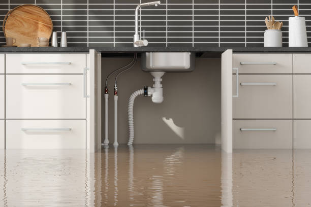 Best Flooded house restoration  in Paramount Long Meadow, MD