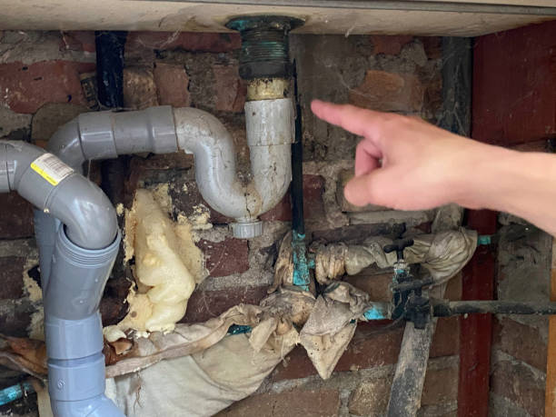 Best 24-hour water damage restoration  in Paramount Long Meadow, MD