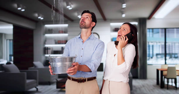 Best Professional water damage repair  in Paramount Long Meadow, MD